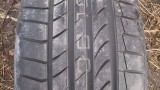 SP Sport Maxx TT