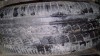 205 55 R16 91V Pirelli P7